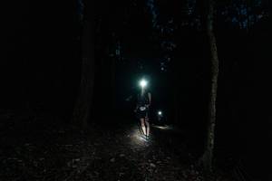 BIB: 
                            <button type="button" onclick="openModal(25262087)" class="btn btn-primary btn-sm float-right btn-popup" data-toggle="modal" data-target=".modal-high-quality">
                        <i class="fas fa-shopping-cart"></i> Add to Cart
                    </button>
                                            <button type="button" onclick="isThisMe(25262087, true)" class="btn btn-success btn-sm float-right btn-popup btn-isme hidden" data-toggle="tooltip" data-placement="bottom" title="นี่คือรูปของคุณใช่ไหม คลิกที่นี่เพื่อเอาเข้าอัลบั้ม">
                        <i class="fas fa-plus"></i> Add to album
                    </button>
                    <button type="button" onclick="isThisMe(25262087, false)" class="btn btn-warning btn-sm float-right btn-popup btn-isnotme hidden">
                        <i class="fas fa-ban"></i> Remove from album
                    </button>